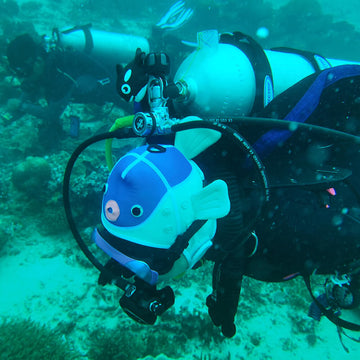 3mm Cartoon Puffer Fish Wetsuit Hood for Scuba Diving Surfing | Hydrone